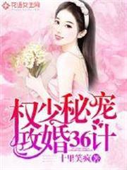 权少秘宠：攻婚36计